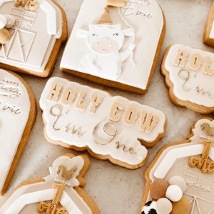Hand-decorated Surf Coast cookies with edible art, custom colours and designs 1st birthday farm theme
