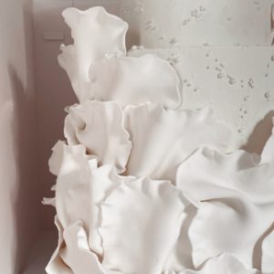 {"eId":"523103749888044","CameraPosition":1}