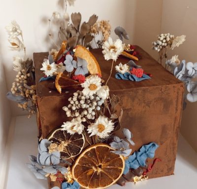 {"eId":"239828301971589","CameraPosition":1}