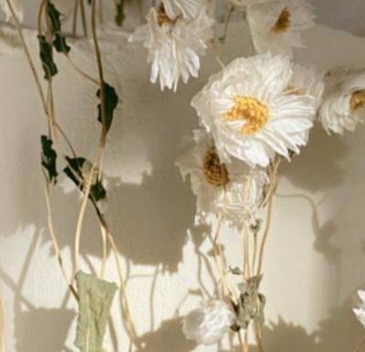 {"eId":"1895123890922249","CameraPosition":1}